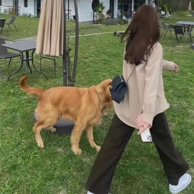 在窗边
